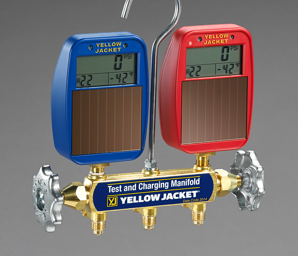 How long does it take to get rid of fleas in your house, pest control